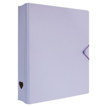 珠友文化 A4 D型夾集卡冊 有洞款 4孔  紫色  1個