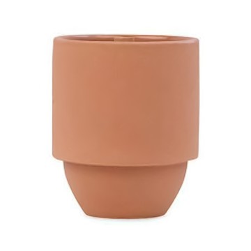 PADDYWAX 國家公園系列 香氛蠟燭 11oz/311g  仙人掌花蕨類植物  1罐