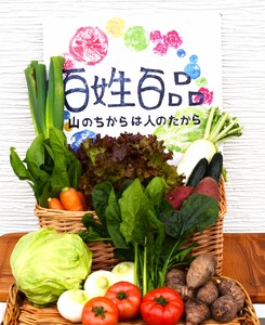 新鮮野菜の詰め合わせ