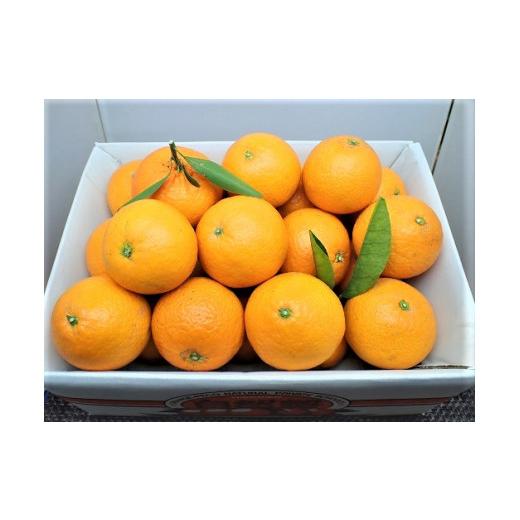 ふるさと納税 三重県 熊野市 (1)自然塾　季節の柑橘詰合せ