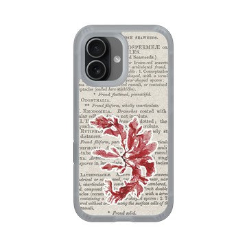 iPhone 17 AirX 流變灰 - The Seaweed Studio - 海藻標本集