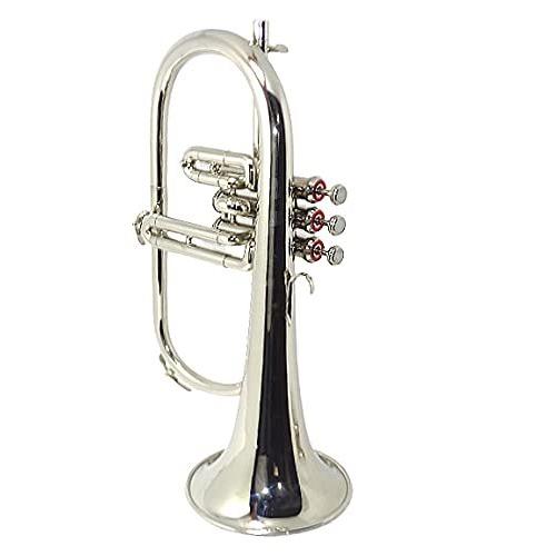 Bb Flat SILVER NICKLE Flugel Horn With Free Hard Case Mouthpiece