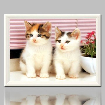 5D鉆石畫卡通滿鉆圓鉆鉆石十字繡魔方鉆可愛小貓新款鉆石繡磚石畫