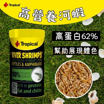 宏洋水族【德比克100%天然高營養河蝦】澤龜 水龜 烏龜 烏龜飼料 乾燥蝦飼料 乾蝦飼料 魚飼料 蝦乾 乾蝦 高蛋白乾蝦