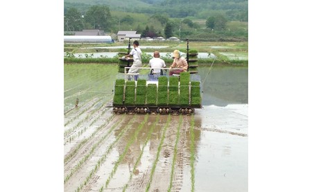 仁木町「ゆめぴりか」定期便（毎月5kg発送 全6回）