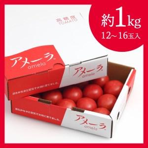 ふるさと納税 a10-371　アメーラ トマト 高糖度 トマト 産地 直送 化粧箱入 静岡県焼津市