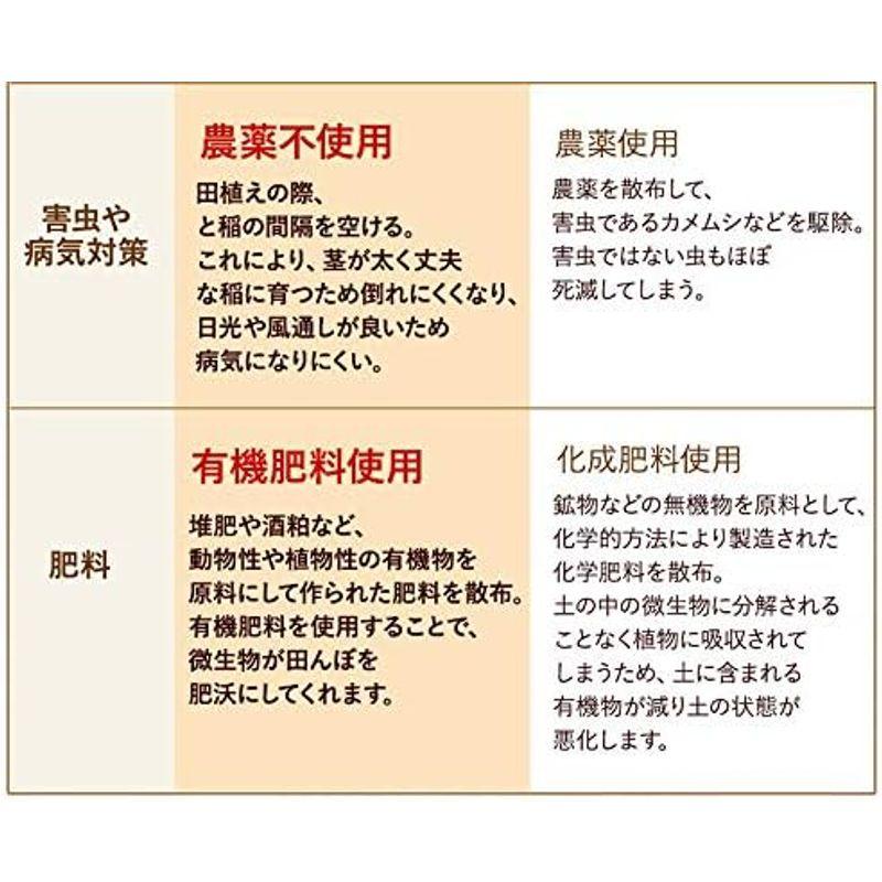 5分つき 無農薬 コシヒカリ 「特選」 2kg 新米 令和5年福井県産 特別栽培米 無農薬 無化学肥料栽培