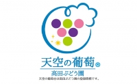 ぶどう 天空の葡萄(登録商標) ニュー ピオーネ 2房 1.2kg以上 1箱 美味しい笑顔をお約束 葡萄 フルーツ 岡山 高梁市産 2024年 先行予約