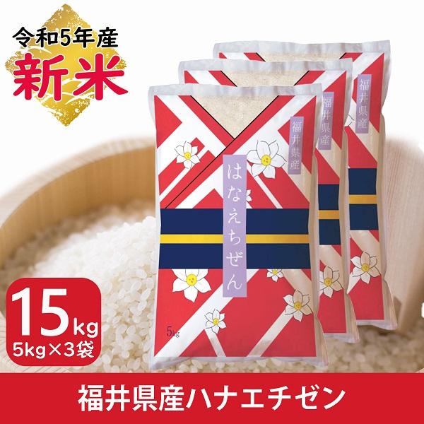 新米 米 ハナエチゼン 15kg  5kg×3袋 福井県産 白米 令和5年産 送料無料