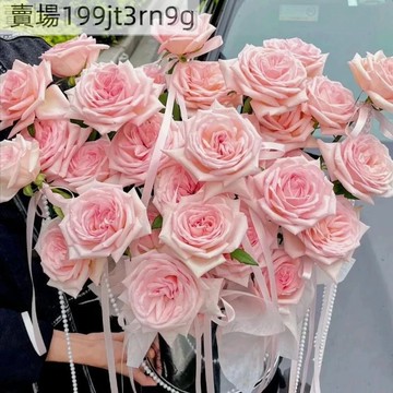 現貨🌹【粉荔枝玫瑰種子】（250粒）🌹2025新種 月季種子包對版 多年生可做切花 四季室內外庭院盆栽花卉種子 耐寒易活