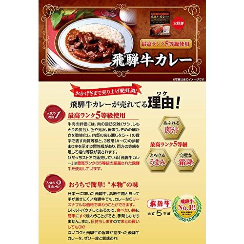 飛騨牛カレー 200g