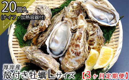 厚岸産 殻付き 牡蠣 Ｌサイズ 20個入 (各回20個×3ヶ月分,合計60個) カキナイフ付き 加熱容器付き