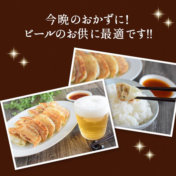 ＼おひとり様1回限り／お試しで1袋！名古屋コーチン餃子冷凍餃子 餃子 送料無料 お試し 生餃子 冷凍生餃子 食品 惣菜 中華 鶏肉