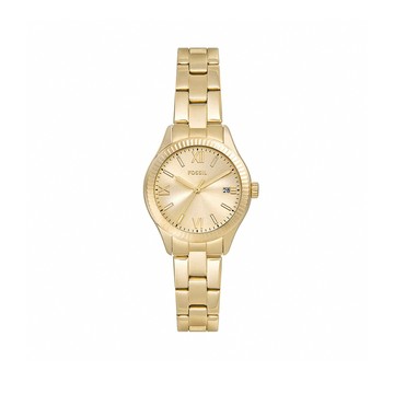 Rye 璀璨耀金典雅羅馬時標不鏽鋼細鍊女錶 金色不鏽鋼錶帶 30 MM BQW3638