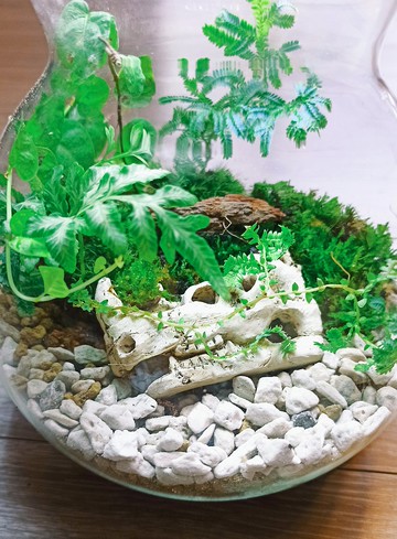 【苔療癒】動物遺骸-意象生態瓶DIY材料包