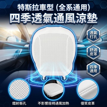 【現貨】Tesla 透氣通風座椅涼墊 保護墊 透氣 皮革坐墊透氣坐墊 四季坐墊 特斯拉 座椅座墊椅墊坐墊椅墊靠背墊 預售
