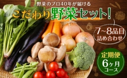 野菜のプロ40年が届けるこだわり野菜セット！ 7～8品目 詰め合わせ