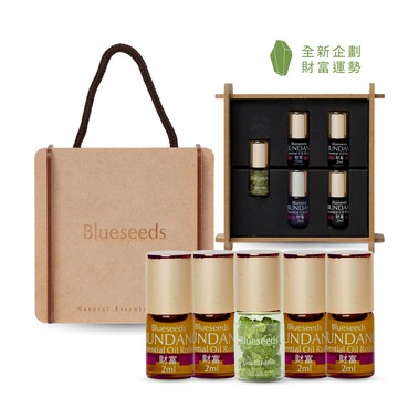 【禮物首選】提升事業運能量禮盒｜財富滾珠精油 x4+迎財神小晶瓶 x1｜佈置辦公室人氣財位