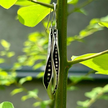 【Plant 系列】#a384 豆莢耳環 / 925銀/ 手工禮物/ 客製化