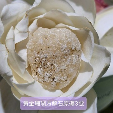 黃金珊瑚方解石原礦Golden Coracalcite 3號 ~水晶光體催化石~