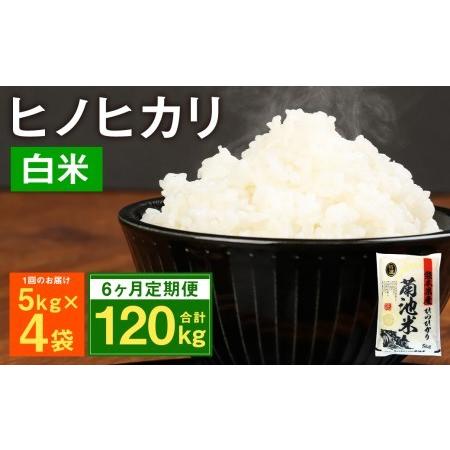 ふるさと納税 熊本県菊池産 ヒノヒカリ 5kg×4袋×6回 計120kg 精米 お米 白米 令和3年産 熊本県菊池市