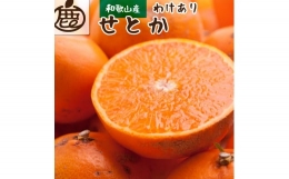 家庭用せとか2.5kg 75g（傷み補償分） ※北海道・沖縄・離島への配送不可