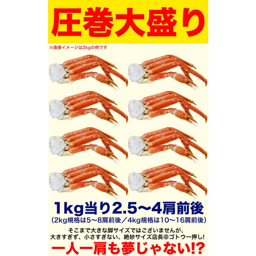 年末指定受付中　ズワイガニ 脚　6kg前後　総重量 ボイルずわいがに　足　ボイル　