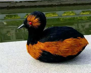 動物模型 仿真鳥 仿真鴛鴦羽毛 愛情鳥 攝影舞臺道具 場景裝飾