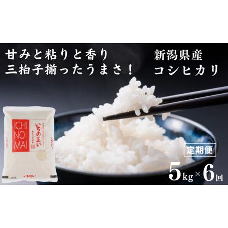 ふるさと納税 令和5年産新米 新潟県産コシヒカリ「いちのまい」5kg×6回 計30kg 米・食味鑑定士お墨付き 新米 精米したて.. 新潟県糸魚川市