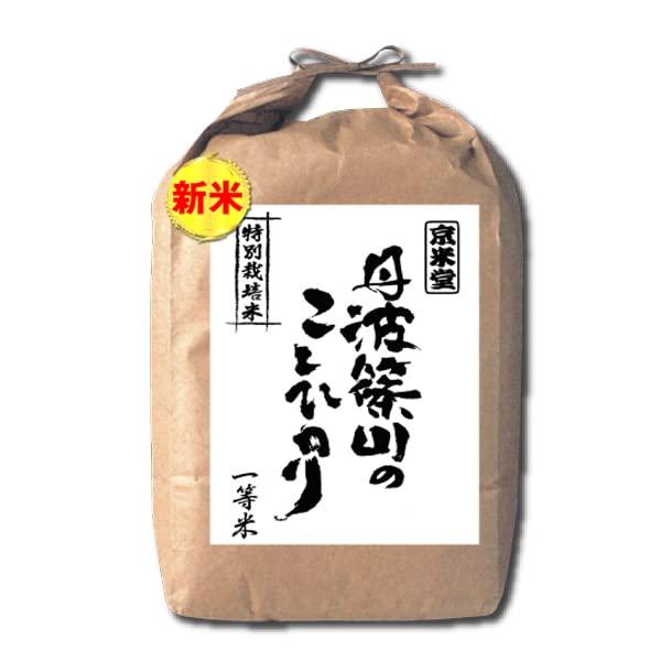  お米 2kg コシヒカリ 白米 7.5割農薬減 兵庫県 丹波ささ山産 一等米 令和5年産