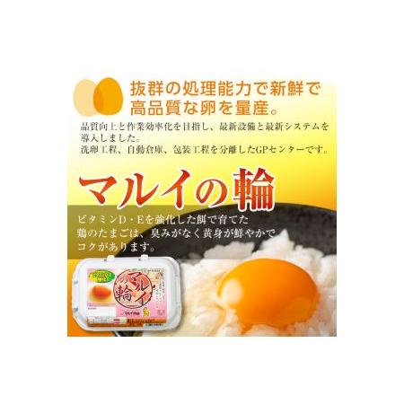 ふるさと納税 i020 鹿児島県産の赤たまご！マルイの輪(たまご)×36個(6個入り×6パック)養鶏の専門農協で一貫して生産された国産生玉.. 鹿児島県出水市