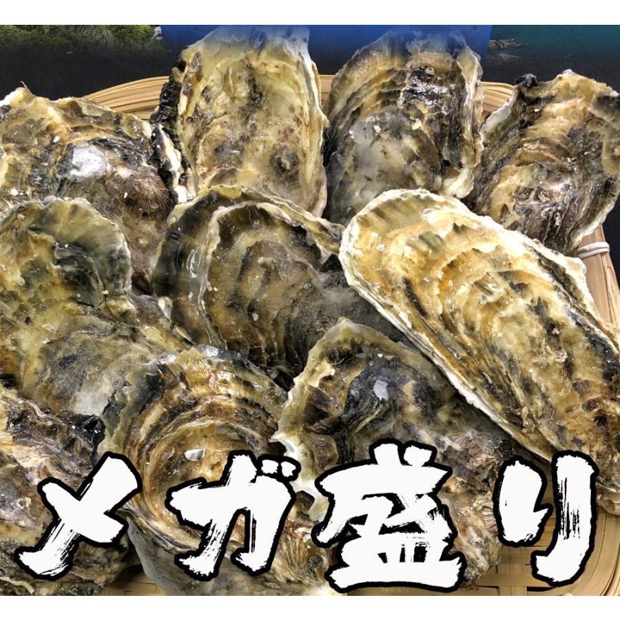 伊勢神宮奉納 殻つき牡蠣 カキ 桃こまち 伊勢湾産 7キロ(約75個)  訳あり カンカン焼き BBQ 牡蠣 ナイフ 軍手付