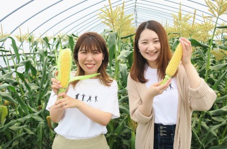 大地の恵み「とうもろこし2色セット」14本