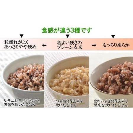 ふるさと納税 発芽玄米ごはん3種セット（有機栽培米使用）150g×16パック 宮城県登米市