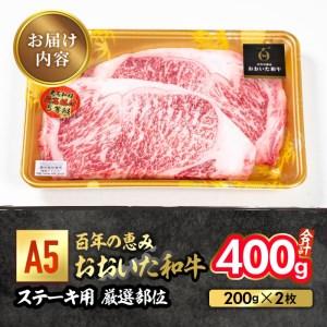 ふるさと納税 百年の恵み おおいた和牛 A5 ステーキ用 厳選部位 (計400g・200g×2枚) 国産 牛肉 肉 霜降り ロース 肩ロース サーロイン 和牛.. 大分県佐伯市