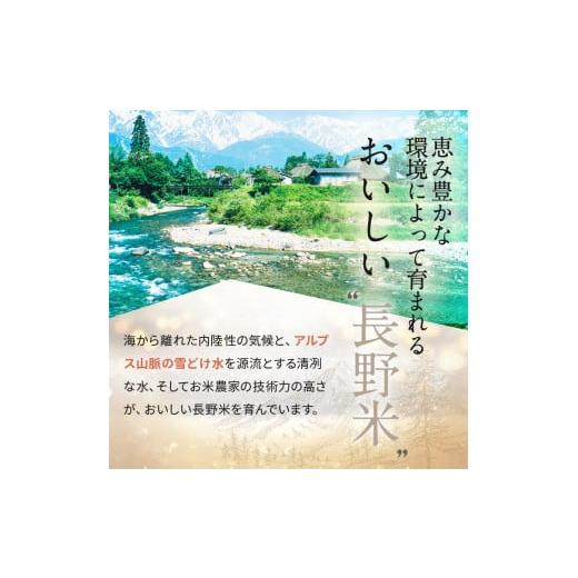 ふるさと納税 長野県 千曲市 信州米 こしひかり 玄米 10kg 長野県産