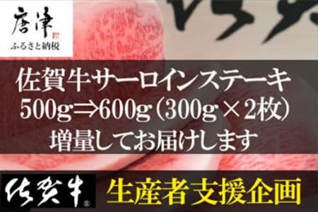 佐賀牛 サーロインステーキ250g×2枚(合計500g) 和牛 ご褒美に ギフト用 2人前 A5~A4等級 霜降り牛肉「2023年 令和5年」