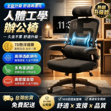 隔日達【公司貨+發票】專家級人體工學椅 工學椅 辦公椅 電腦椅 電競椅 坐姿椅 旋轉椅 升降椅 乳膠坐墊 辦公室椅 椅子