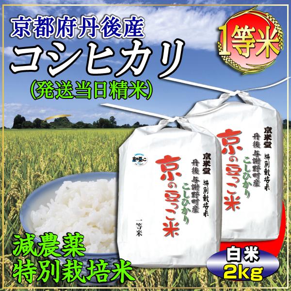 新米 お米 2kg コシヒカリ 当日精米 京都米 丹後産 京の豆っこ米（分