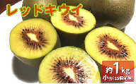 レッドキウイ（小玉）　約1kg　15個前後