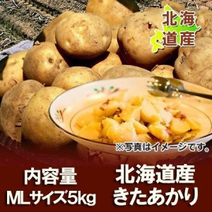 じゃがいも きたあかり 送料無料 北あかり 北海道 じゃがいも キタアカリ 5kg MLサイズ 野菜 ジャガイモ