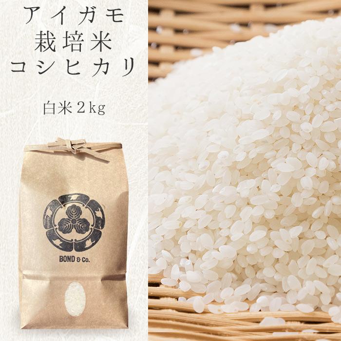 新米 令和5年産 アイガモ栽培 コシヒカリ 白米２kg 特Aランク 無農薬 化学肥料不使用 会津若松産 健康で美味しいお米 オーガニック米 あいがも農法 合鴨 ギフト