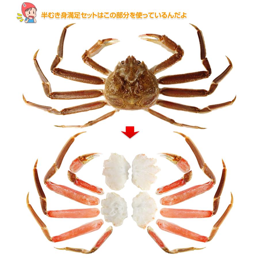 かに カニ 蟹 ズワイガニ 半むき身 超特大10L〜8L生ずわい蟹半むき身満足セット 1kg超