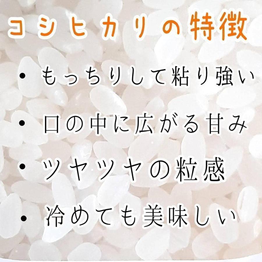 新米 産地直送！令和5年産 埼玉県産 コシヒカリ 白米 5kg 未検査米 おいしいお米 玄米を精米してお届け