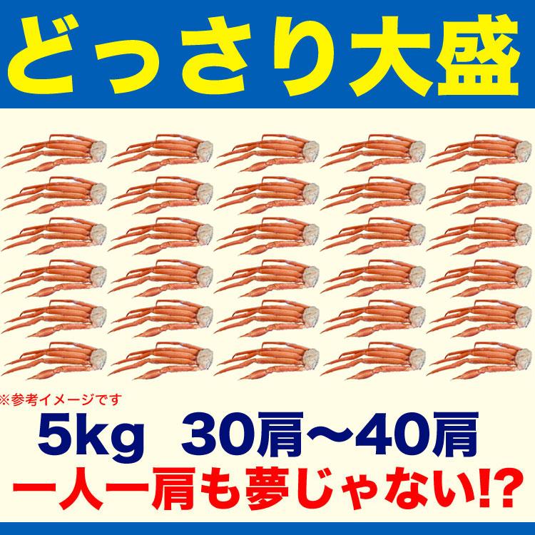 カニ 足 5kg 紅 ズワイガニ ［凍った状態で剥き身にしてお召上がり下さい］ 訳あり わけあり 訳有 かに 蟹 脚 紅ずわいがに ボイル加熱済 (5kg箱)