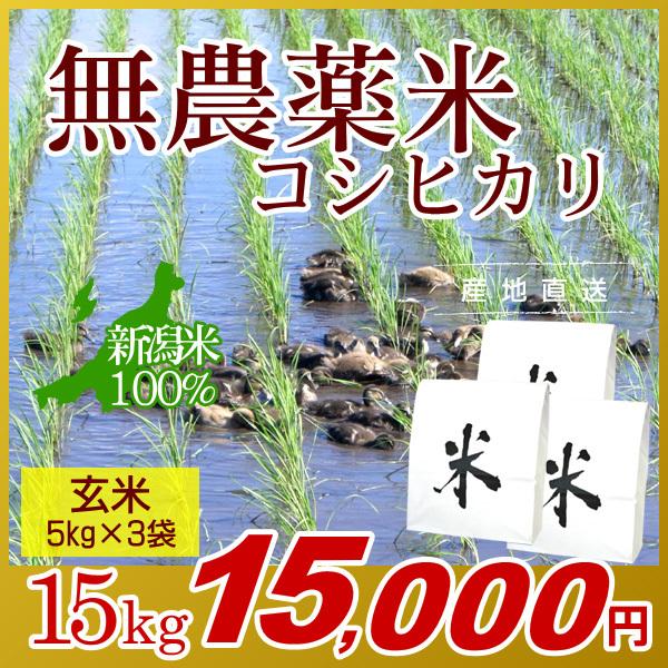 農薬無使用米 新潟 コシヒカリ 玄米 15kg(5kg×3袋)／新米 米 お米 新潟米 アイガモ米 自然栽培 無農薬 有機肥料 岩船産コシヒカリ 高級米