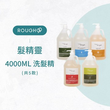 ⎮Rough99⎮ 髮精靈 hair angel｜洗髮精 4000ml 調理洗髮精 鎖色洗髮精 毛囊洗髮精 修護洗髮精