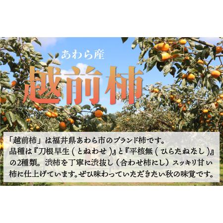 ふるさと納税 越前柿 16個入 約2.5kg（M〜2L）≪JA受賞歴親子２代≫ ／ 果物 フルーツ 柿 産地直送 期間限定 あわら ※2024年11月.. 福井県あわら市