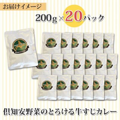 ふるさと納税 倶知安町 倶知安野菜のとろける牛すじカレー 中辛 200g×20個