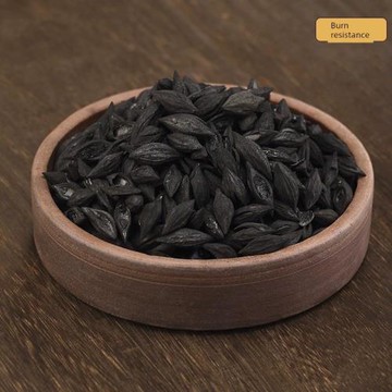 橄欖烏欖龍眼棗核無煙核桃木炭茶爐專用室內茶室圍爐煮茶碳果木炭
